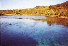 Pupu springs